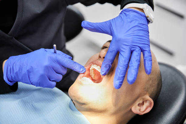 Best Holiday Emergency Dentist in Hamilton, GA